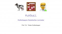 KuhStaLL - R - R als Taschenrechner